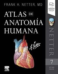 La parola italiana libro deriva dal latino liber.il vocabolo originariamente significava anche corteccia, ma visto che era un materiale usato per scrivere testi (in libro scribuntur litterae, plauto), in seguito per estensione la parola ha assunto il significato di opera letteraria. Atlas De Anatomia Humana Spanish Edition Ebook Netter F H H Drk Edicion Sl Amazon In Kindle Store