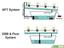 How To Grow Hydroponic Lettuce Hydroponic Lettuce Hydroponics Easy Vegetables To Grow