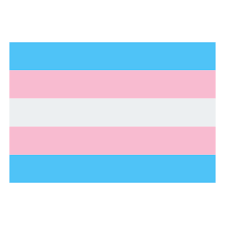 Senate to pass the equality act. Transgender Flag Icon Lade Png Und Vektor Kostenlos Herunter