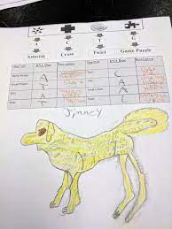 Biomagnification and the trouble with toxins. 3rd Nine Weeks Genetics Heredity Mrs Lackey S Science Class
