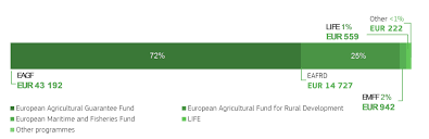 European Flag European Commission Brussels 24 6 2020 Com 2020 265 Final Report From The Commission To The European Parliament The Council And The Court Of Auditors 2019 Annual Management And Performance