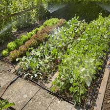 We did not find results for: Kit D Arrosage Goutte A Goutte Gardena Pour Massifs Et Potagers Gamm Vert