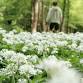 Forage and Cookery Course in Dumfries and Galloway event in Moffat