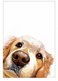 Informations About Notitle Pin You Can Easily Use My Profile To Examine Different Dog Watercolor Painting Watercolor Pet Portraits Golden Retriever Painting