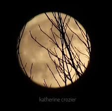 November 12 Full Moon Is The Beaver Or Frosty Moon Moon