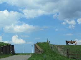 Near Noordkaap Groningen Groningen Nederland Landschap