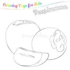 < persimmon drawing to print and color. Yummy Persimmon For Coloring In Imple Cartoon Style Page For Art Coloring Book For Kids Vector Illustration Stock Vector Illustration Of Abstract Line 91602577