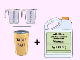 I'm not one of them. How To Kill Weeds With Vinegar 10 Steps With Pictures Wikihow