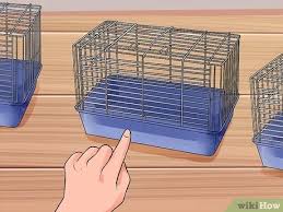 There are various types of cages used for hamsters, all of which have their own unique pros and cons. How To Choose Good Cages For Hamsters 10 Steps With Pictures