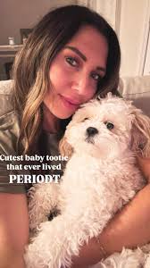 Interested in getting a electric fence. budget friendly preferably lol have  a husky 😃