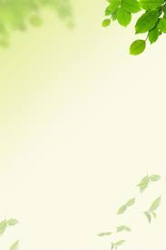 fresh spring green leaves h5 background green leaf background leaf background artsy background