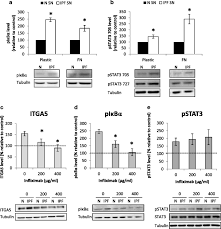 When you do it in span 30 mins, traget in to achieve thoughtless state( nor the body is doing anything nor the. Fibroblast Paracrine Tnf A Signaling Elevates Integrin A5 Expression In Idiopathic Pulmonary Fibrosis Ipf Respiratory Research Full Text