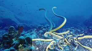 Mimpi terkadang bukan hanya sebuah bunga tidur semata, mimpi juga kadang merupakan pertanda bagi kehidupan kita kedepan. Arti Mimpi Ular Apakah Mendatangkang Hal Buruk Cari Tahu Yuk