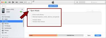 Transfer Music To New Ipad With Itunes Sync Music Music Library Olds