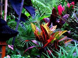 Balinese Garden Design Style Brisbane Queensland Gardening Balinese Brisbane Design Garden Ga Balinese Garden Tropical Garden Design Tropical Garden