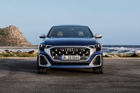 Image result for Navarra Blue 2024 RSQ8