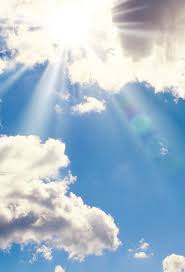 In loving memory of Brian Orn Faber