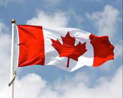 The national flag of canada is popularly referred to as the maple leaf flag. Sewn Nylon Canadian Flag