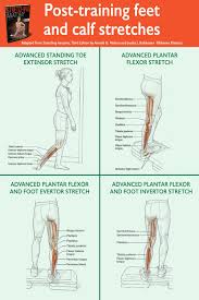 Enhance Recovery With Feet And Calf Stretches Anatomy Calf Stretches Physical Activity Guidelines