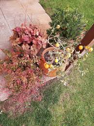 Le piante più adatte a questo scopo sono quelle grasse, poiché necessitano di pochissima manutenzione e soprattutto di scarsa irrigazione. Come Disporre Piante In Giardino Idee Consigli Per Angolo Di Paradiso
