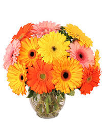 Maybe you would like to learn more about one of these? Chula Vista Florist Chula Vista Ca Flower Shop Love S Florist Gifts