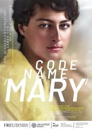 Code Name ʹMaryʹ