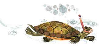 How Long Can Turtles Stay Underwater And Other Questions From Our Readers At The Smithsonian Smithsonian Magazine