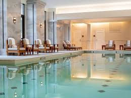 Are pets allowed at w atlanta midtown? 8 Pet Friendly Hotels In Atlanta Your Pup Will Love In 2021 Trips To Discover