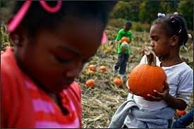 Scale Tips Toward Nonfiction Under Common Core