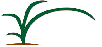Call sunco to inspire a little outdoor envy in your neighborhood. Home Omaha Organics Lawn Maintenance Fertilizer