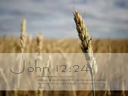 Very Truly I Tell You Unless A Grain Of Wheat Falls Into The Earth And Dies It Remains Just A Single Grain But If It Dies It Bears Much Frui Saufen