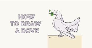 # how to draw a dove easy. How To Draw A Dove In A Few Easy Steps Easy Drawing Guides