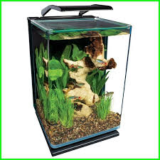 Bagi anda yang sedang mencari hewan peliharaan, mungkin ikan cupang bisa menjadi solusinya. Nyari Aquarium Ikan Cupang Keren Ini Rekomendasi Terbaik Daftarhewan Com