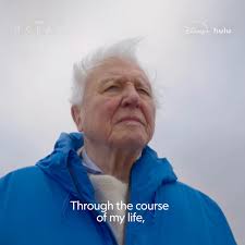 The Importance of Our Oceans