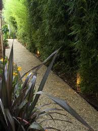 70 Bamboo Garden Design Ideas How To Create A Picturesque Landscape Landscape Design Contemporary Landscape Design Privacy Landscaping