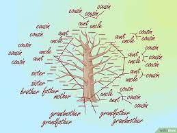 How To Draw A Family Tree 10 Steps With Pictures Family Tree Family Tree Chart Nuclear Family