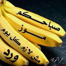 Pin By Medo Dedo On صباح مساء الخير Good Morning Arabic Good Morning Flowers Good Morning Beautiful Images