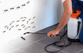 Eliminate Pests With The Help Of Best Pest Control Service - Termination  for medical reasons