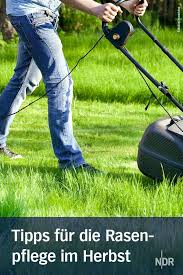 Rasen Im Herbst Dungen Mahen Und Pflegen Rasen Herbst Rasenpflege Vertikutieren Im Herbst