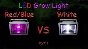 With led cannabis grow lights, this is not the case. White Led Vs Red Blue Led Grow Light Grow Test Part 1 Educational 2016 Youtube