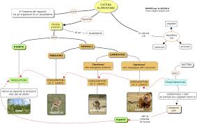L'ecosistema, la catena alimentare other contents: Tema Mappa Concettuale Catena Alimentare Per Scuola Media Materia Scienze