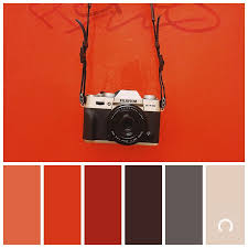 Maybe you would like to learn more about one of these? Color Inspiration Perspective Warm Color Harmony Red Red Orange Brown Grey Beige Red Colour Palette Hex Color Palette Color Schemes Colour Palettes