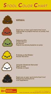Bristol Stool Scale Rock Your Body Know Your Poop Album