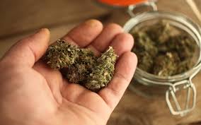 The cross between zkittlez and gelato is no exception, as the secretive breeding group runtz has created a winner with white runtz. Strains Similar To The 2020 Leafly Strain Of The Year Leafly