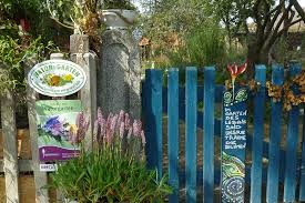 Naturschutz beginnt im eigenen garten. Kraut Ruben Sonderheft Naturgarten Natur Garten Helbigs Webseite