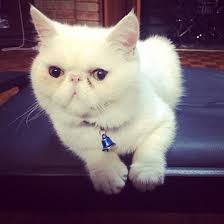 Marketplace . Photo stock