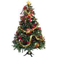 Thousands of new christmas tree png image resources are added every day. Download Christmas Tree Free Png Photo Images And Clipart Freepngimg