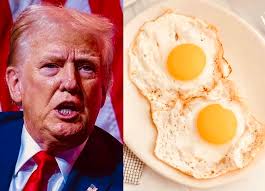 Thousands of e-cigarettes, valued at over $350,000, will not be hitting the  shelves after U.S. Customs and Border Protection officers in Chicago seized  several pallets for violating the Federal Food, Drug, and