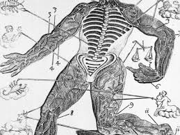 And the stars — in a tradition of illustrations known as homo signorum, or, more popularly, the zodiac man — have exerted a strange pull on the human form. What Is Medical Astrology