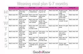 Baby Food Meal Planner Weaning At 6 7 Months